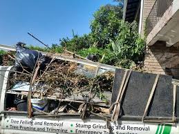 Best Hoarding Cleanup  in Casselton, ND